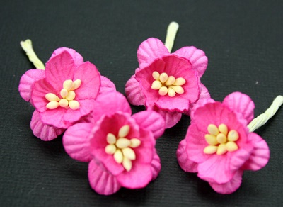 GT-3cm Cherry Blossoms